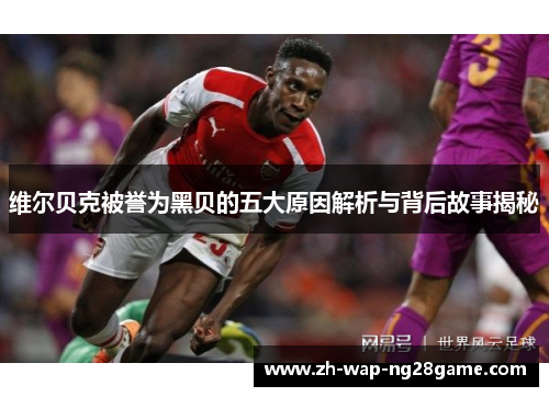 维尔贝克被誉为黑贝的五大原因解析与背后故事揭秘