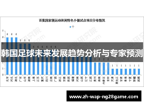 韩国足球未来发展趋势分析与专家预测