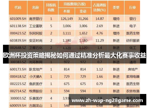 欧洲杯投资策略揭秘如何通过精准分析最大化赛事收益