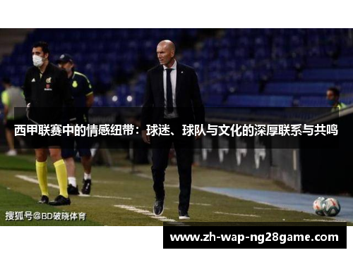 西甲联赛中的情感纽带：球迷、球队与文化的深厚联系与共鸣