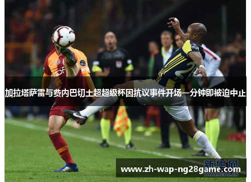 加拉塔萨雷与费内巴切土超超级杯因抗议事件开场一分钟即被迫中止
