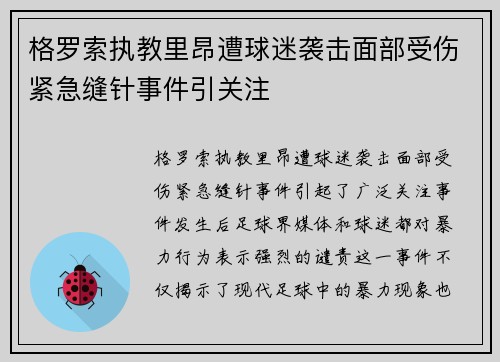 格罗索执教里昂遭球迷袭击面部受伤紧急缝针事件引关注 格罗索执教里昂遭球迷袭击面部受伤紧急缝针事件引关注