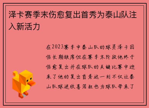 泽卡赛季末伤愈复出首秀为泰山队注入新活力