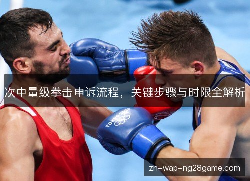 次中量级拳击申诉流程，关键步骤与时限全解析
